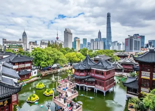 上海糖醋小排地图：情侣约会本帮菜推荐，这几家不吃真的亏大了